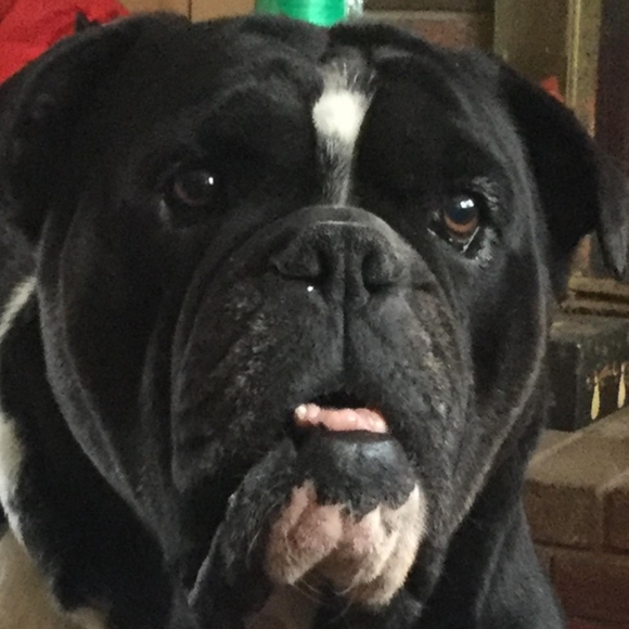 Meet your Posher, Tom - Picture 1 of 1